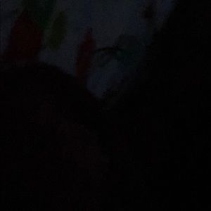 Meet your Posher, Mary ann